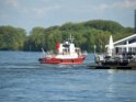 Motor Segelboot mit Motorschaden trieb gegen Alte Liebe bei Koeln Rodenkirchen P113